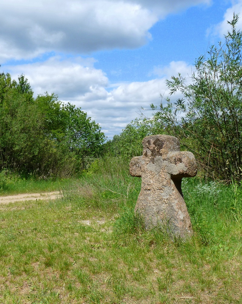 005 Neple kamienna baba Lubelskie