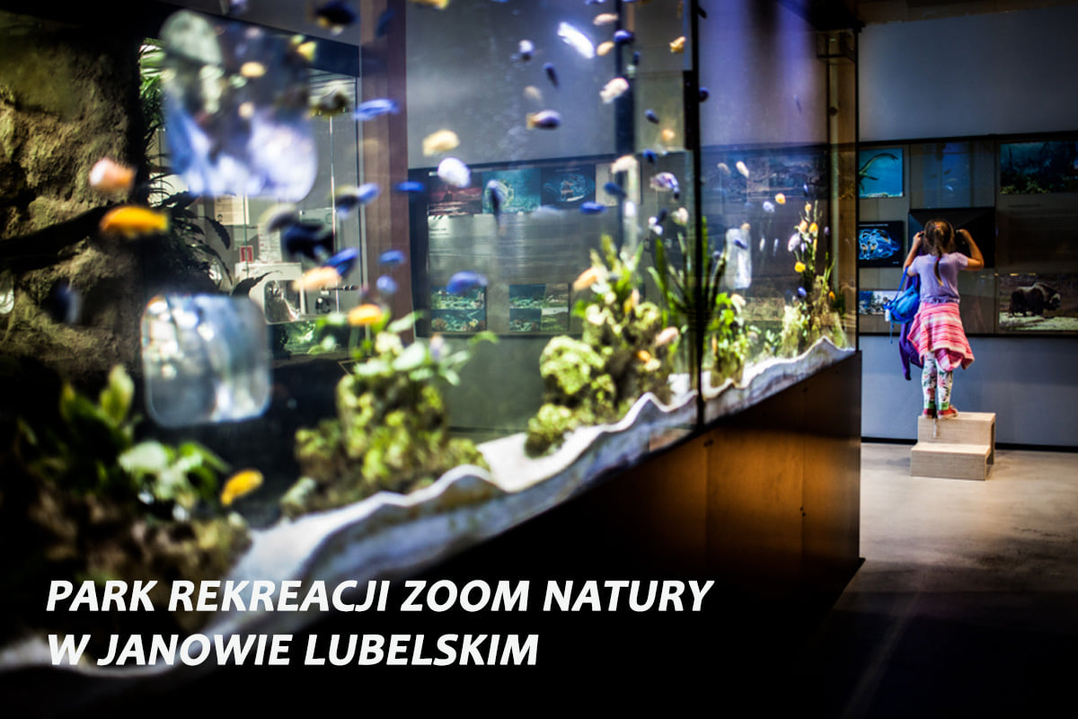 Park Rekreacji Zoom Natury w Janowie Lubelskim