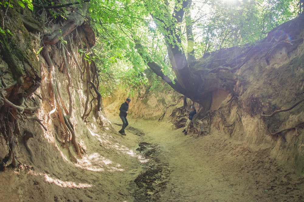 Kazimierz Dolny kamper